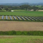 Field PV Array in South Somerset 