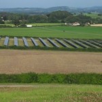 Field PV Array in South Somerset